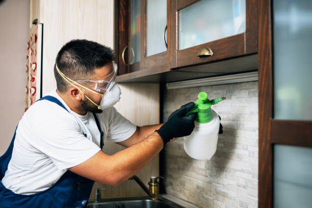 Best Pest Inspection Near Me  in Lindsborg, KS