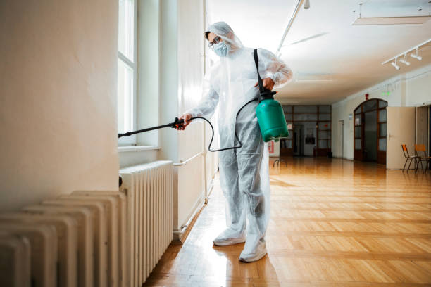 Best Rat Extermination Near Me  in Lindsborg, KS