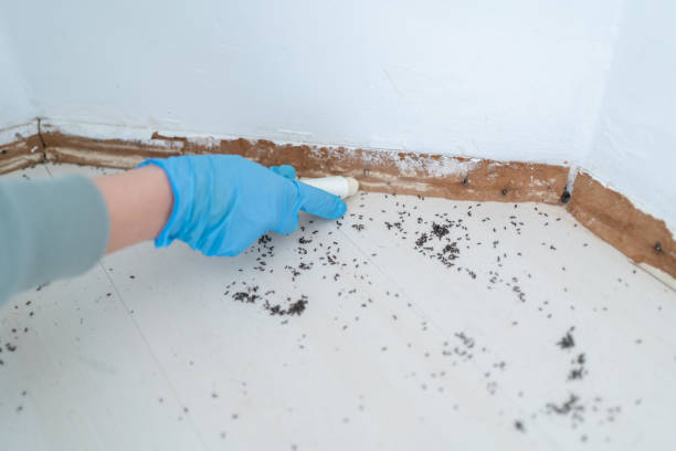Best Wildlife Control Services  in Lindsborg, KS